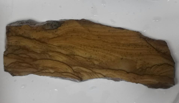 Slab Landscape Jasper